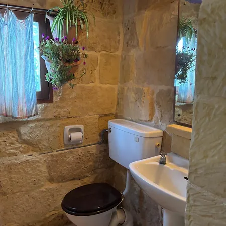 Farmhouse Qala *